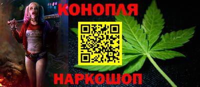 прущие грибы Ирбит