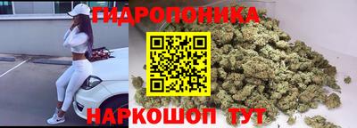 прущие грибы Ирбит
