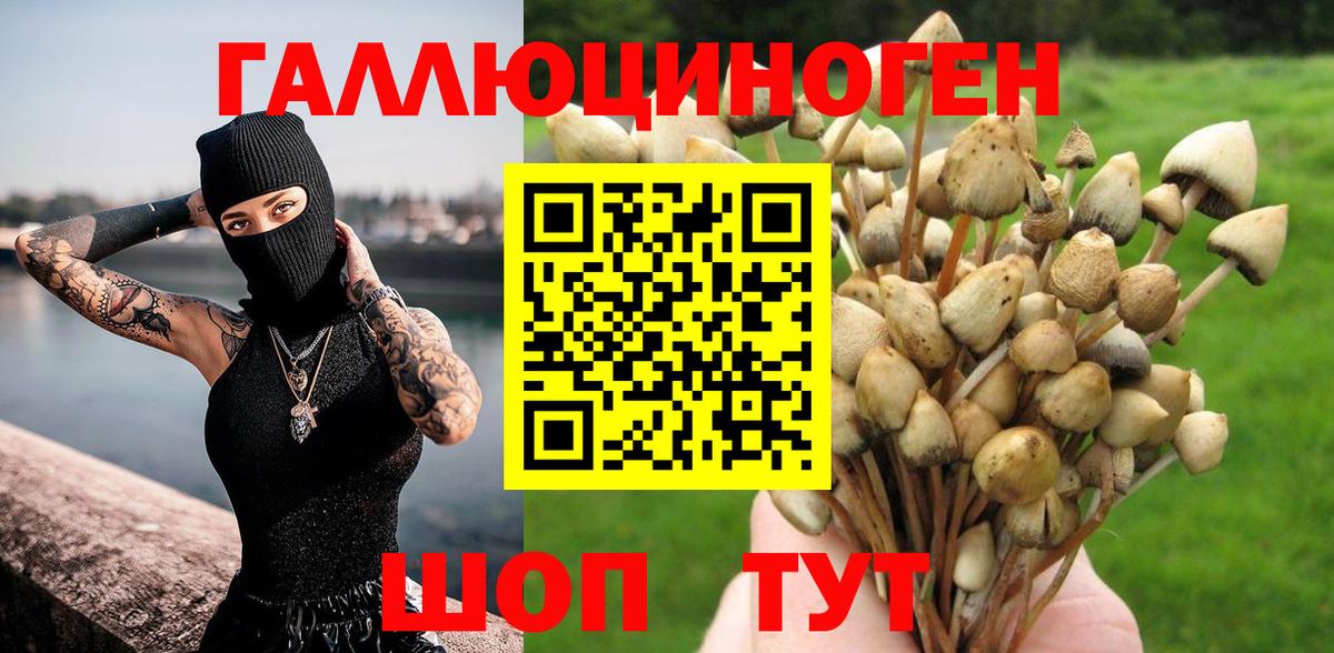 Псилоцибиновые грибы Cubensis  Вход с VPN  Лесозаводск 