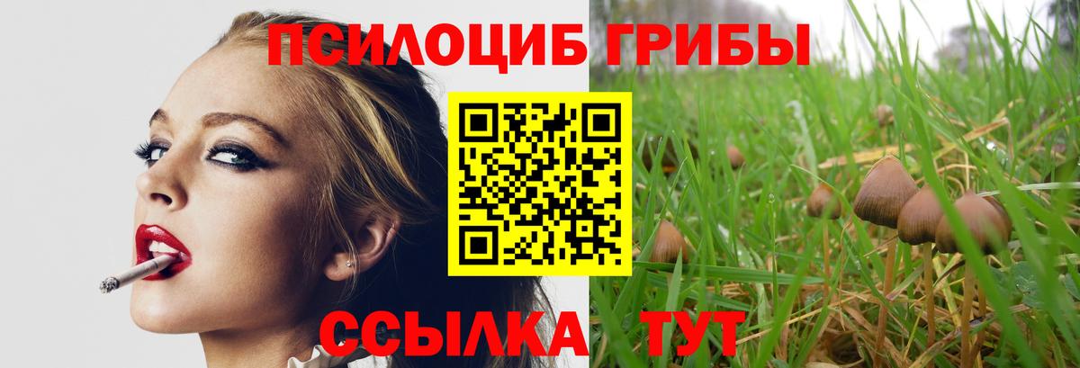 Псилоцибиновые грибы прущие грибы Лесозаводск